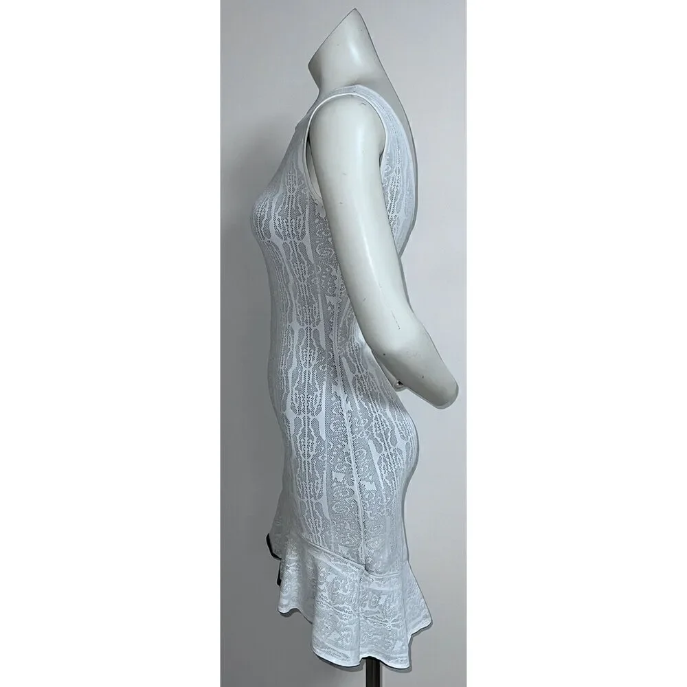 BCBG MAXAZRIA Faye Jacquard Dress ( Size XS) Self Contrast Lace Jacquard
